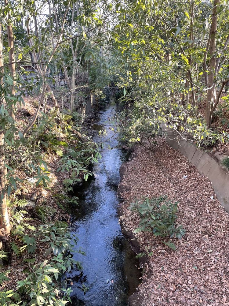 玉川上水。