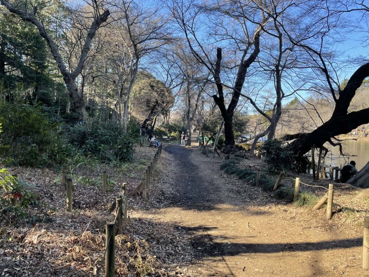 井の頭池南側の道。