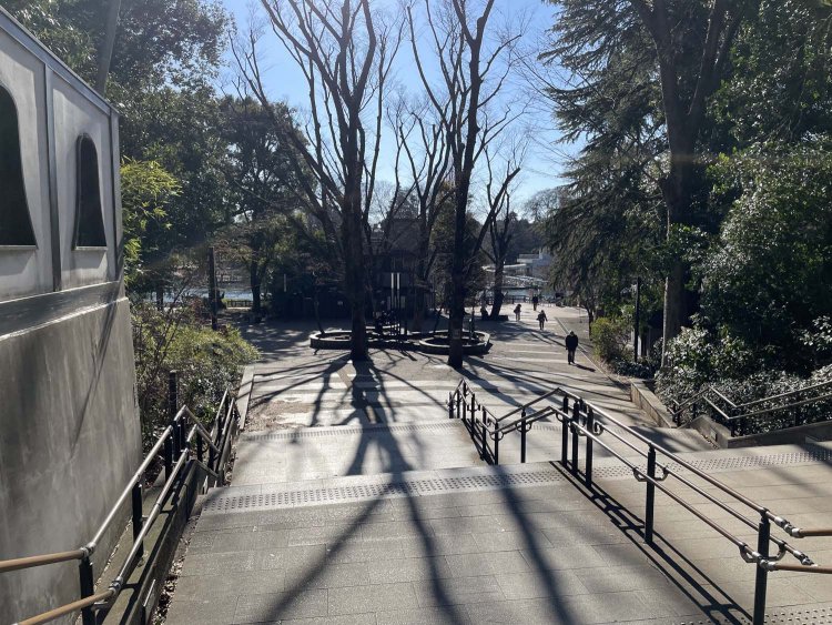 階段を下りると井の頭恩賜公園が広がる。