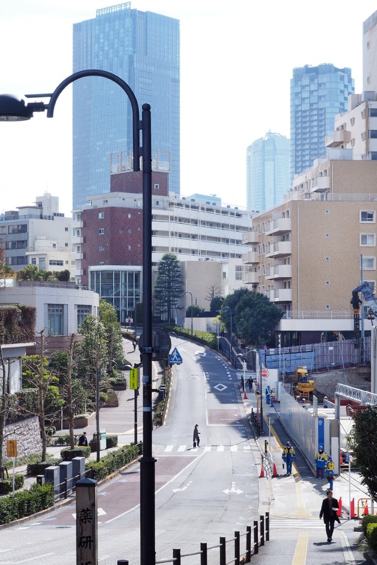 青山通りから南を望むとこんな景色。