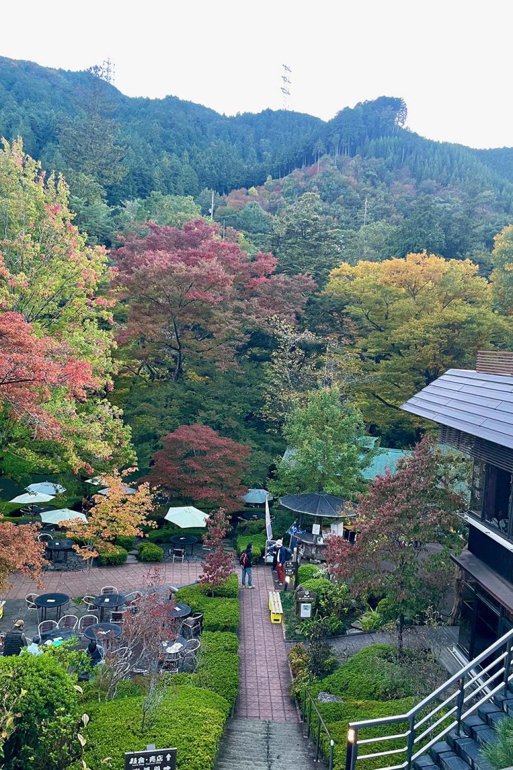 地上の楽園!?　「澤乃井園」。多摩川のせせらぎを横目に日本酒が飲める。