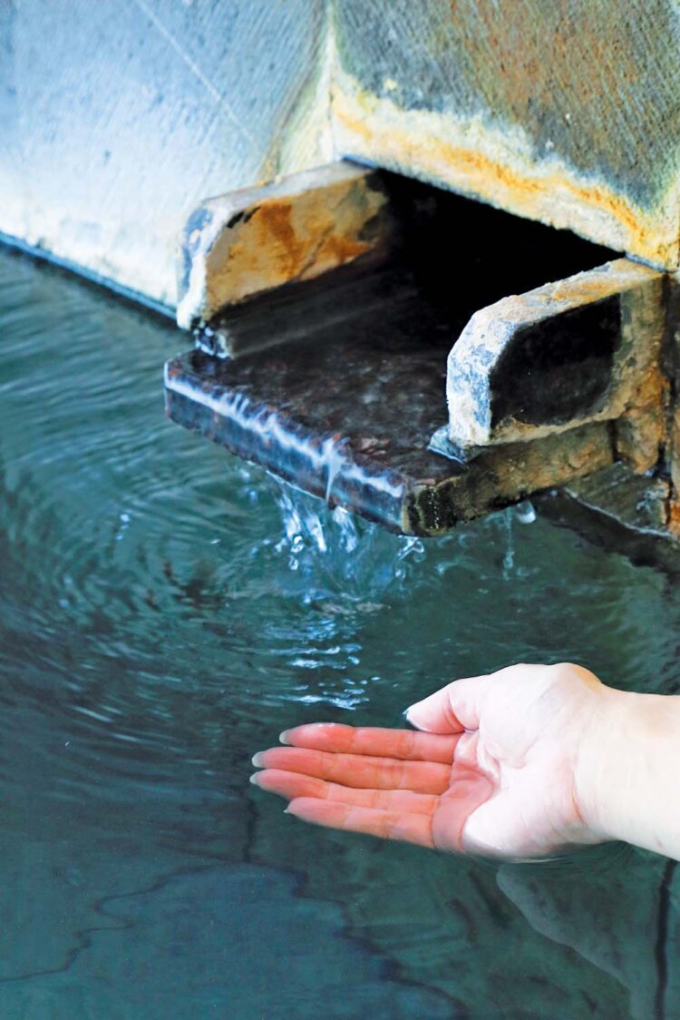 かすかに湯の華が舞うpH6.6のマイルドな湯。毎分3400Lを湧出。