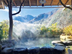 奈良田温泉 白根館