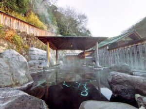 桜田温泉 山芳園1