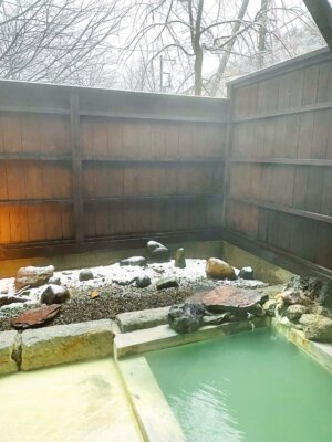 日光湯元温泉 紫雲荘1