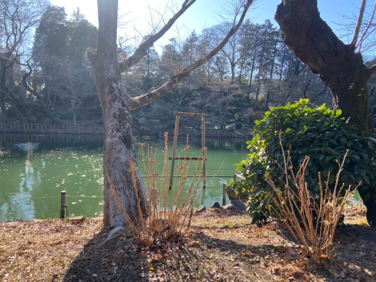 鳥居のようにも見える。
