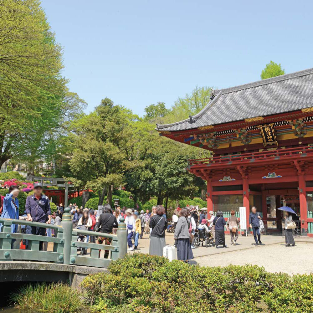 【大江戸散歩コース】白山・根津・湯島～根津神社、湯島天満宮、神田明神、湯島聖堂と見どころ満載～