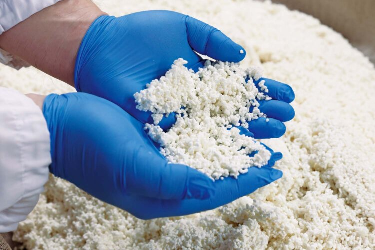 熊谷産の酒米「さけ武蔵」で造った麹米は、特別純米の酒母に使われるもの。かむとほのかに甘みが口に広がる。