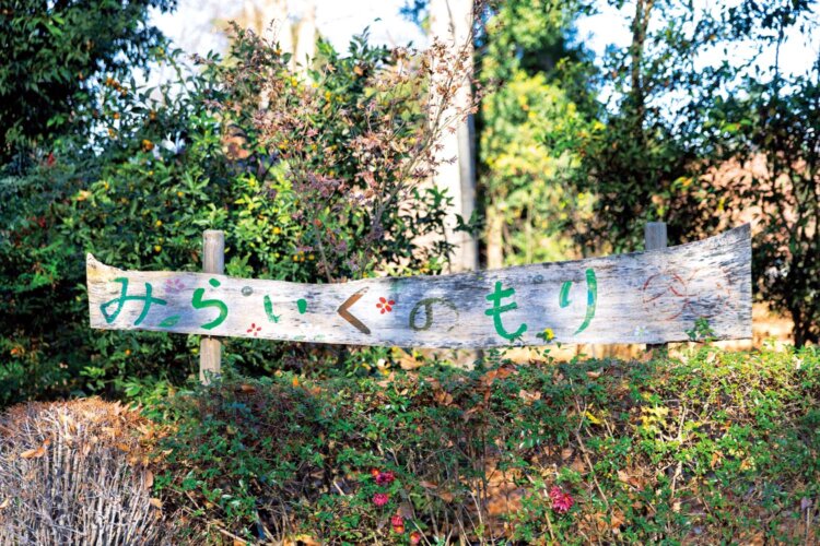 裏の森は「みらいくの森」と呼ばれ、一般開放されている。