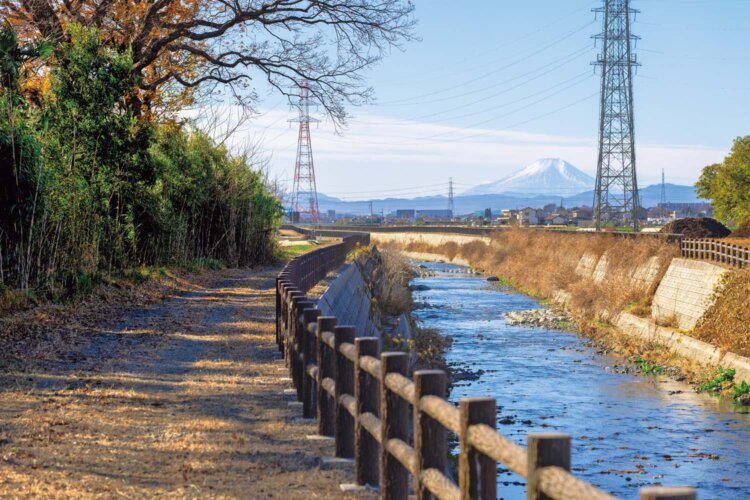 森は近隣の方々や子供たちが憩えるよう、整備している。裏手には不老川が流れ、向こうには富士山！　川越にこんなところがあったとは。