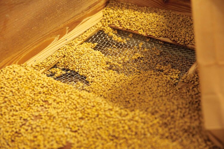 原料の大麦は国産と地元秩父産の二条大麦も使用。一部、製麦も自社で行っている。