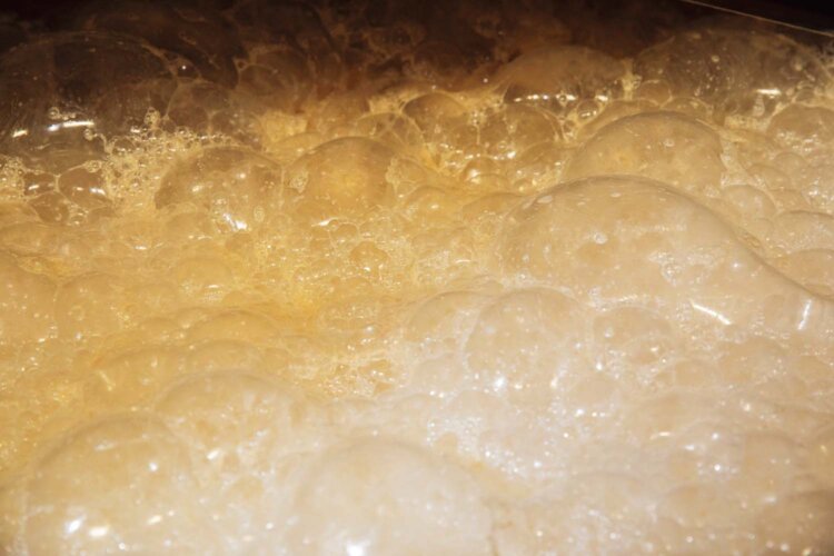 独自の乳酸菌が住み着いていて、その土地ならではの個性が出る。