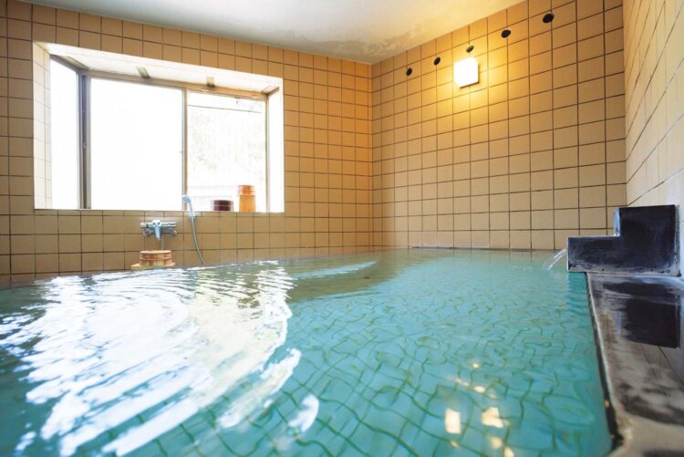 自家源泉かけ流しの内湯。