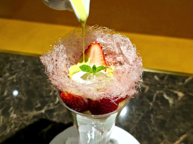 49黒猫駒沢大学