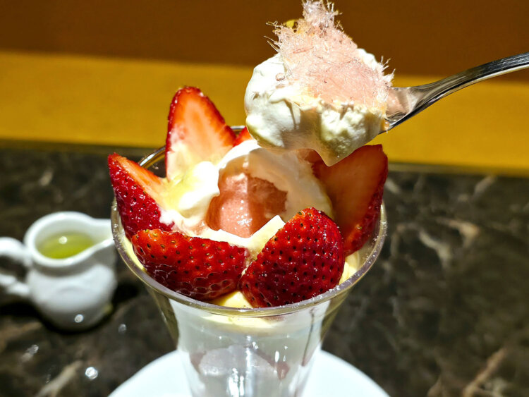 50黒猫駒沢大学