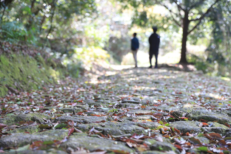 ゴールの三輪崎口に近づくと苔むした石畳が現れる。