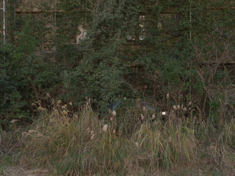 ではご覧いただこう。おわかりいただけただろうか。