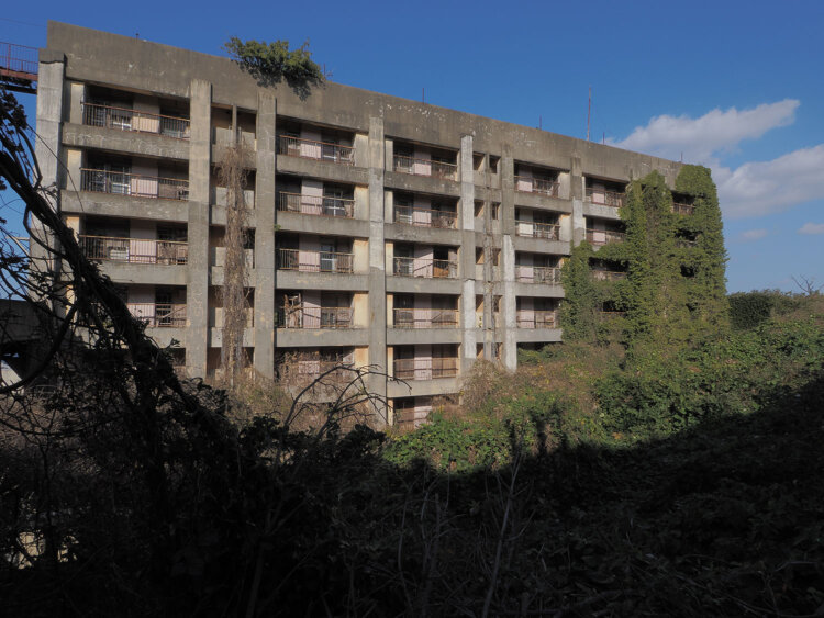 8階建ての背後は斜面のため5階から出入り可能であった。蔦が浸食していく。