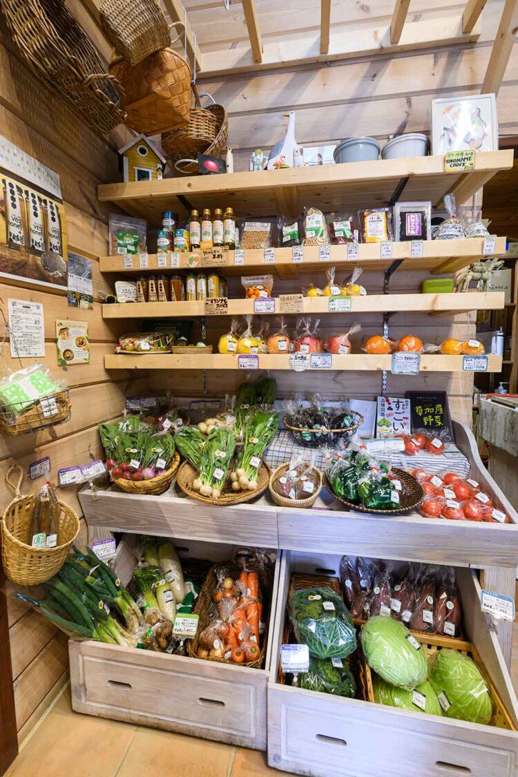 【散歩の達人】Chavi-Pelto_1