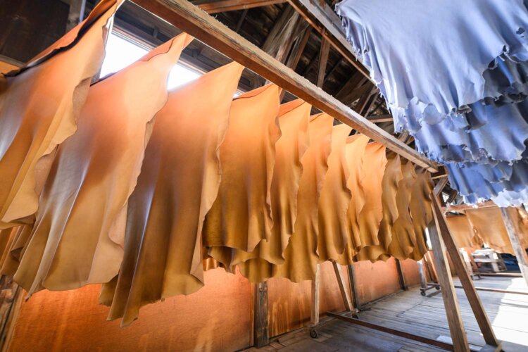 伊藤産業の工場。ズラリ干されているのは、なめしたあと、染色加工した鹿革（右上）と羊革（左下）。