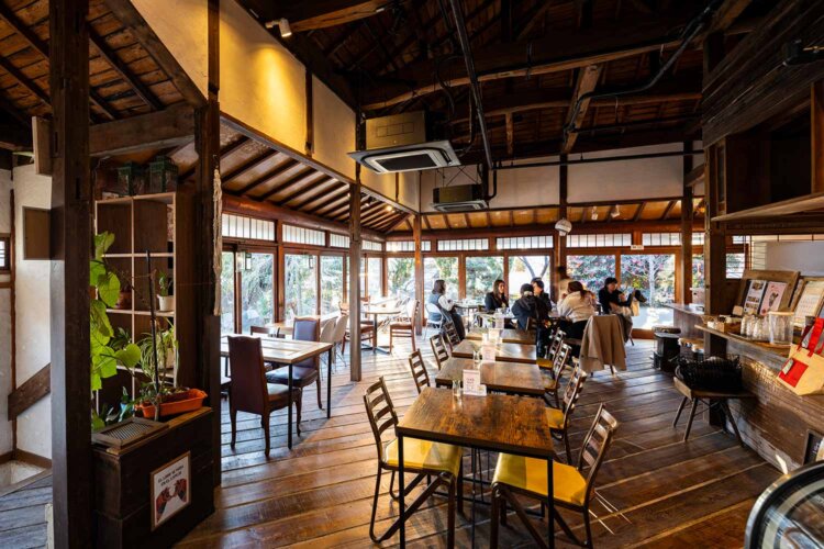 【散歩の達人】a.myu-&-village_4