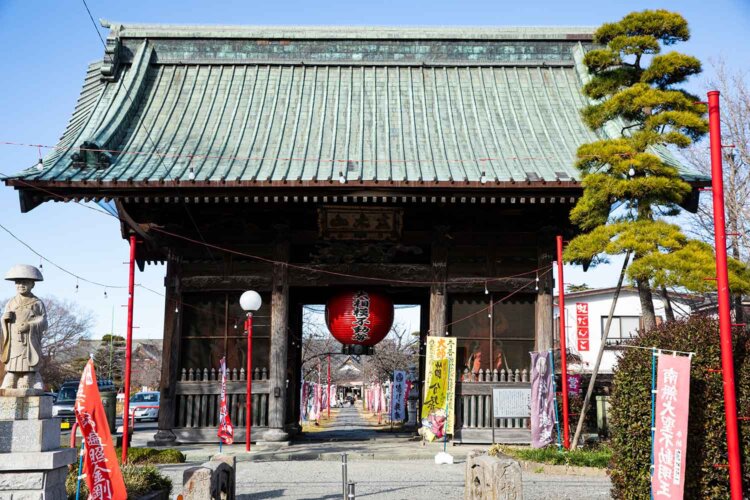 家康も泊まった『大聖寺』山門の先、桜の参道に立つ。