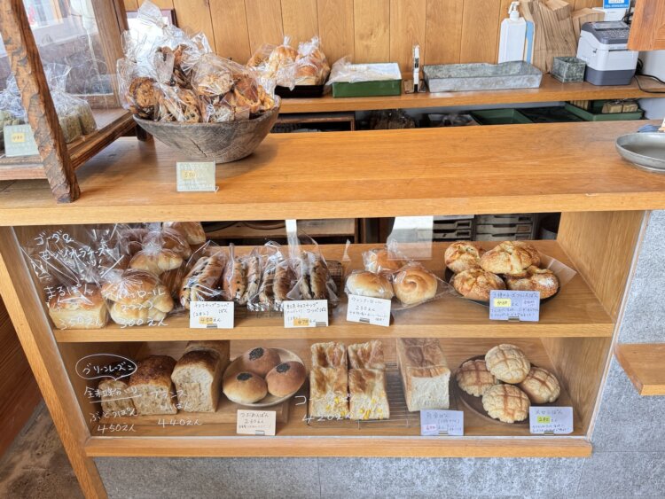 実力派揃いのラインアップ。