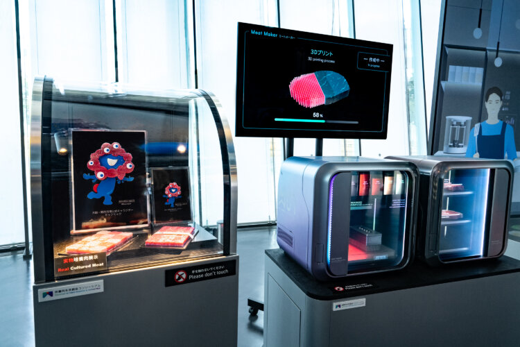 本物の和牛の細胞を培養し、3Dバイオプリント技術により作製された「霜降り肉」は東京初公開（画像提供＝日本未来科学館）。