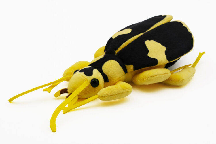 オリジナルぬいぐるみ ミイデラゴミムシ 3080円。