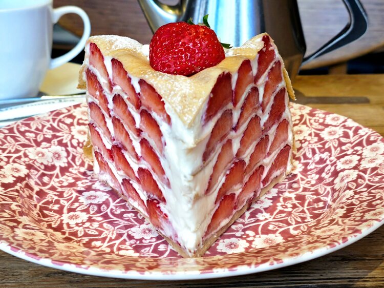 黒猫 原宿表参道