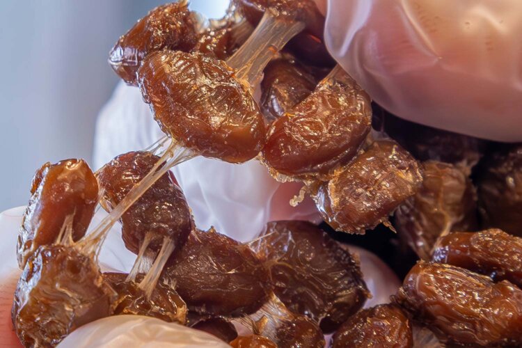 粘り気があるのに手が汚れない「ナットウジャーキー」。