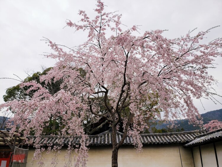 慶長3年3月15日（1598年4月20日）に、豊臣秀吉が大規模な宴を開いたと伝えられている。