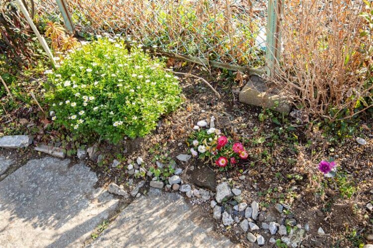 撮影＝オカダタカオ