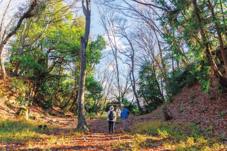本丸の南に当時の石垣（写真上）、北に敵の襲来を防ぐ大堀切が残る。
