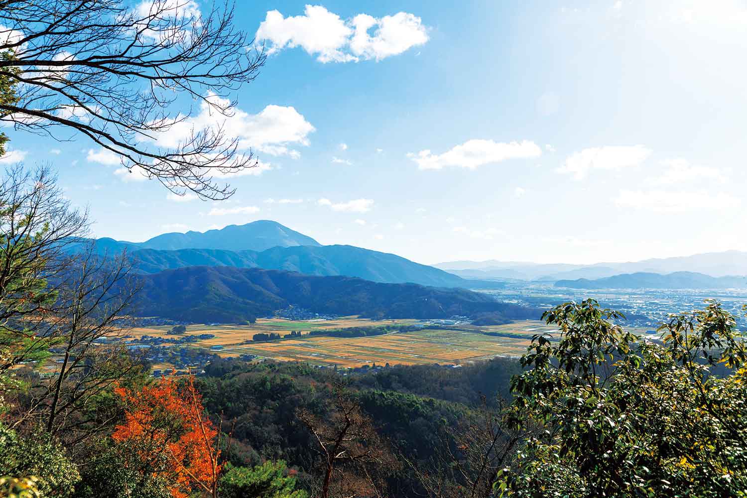 【旅の手帖】小谷山ハイキング_6