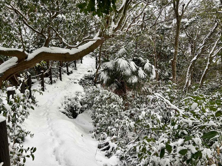 阿尾城3前田慶次