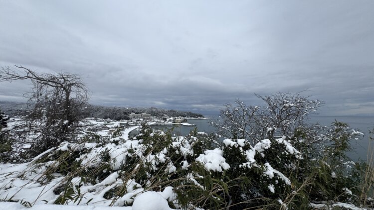 阿尾城3戦国がたり