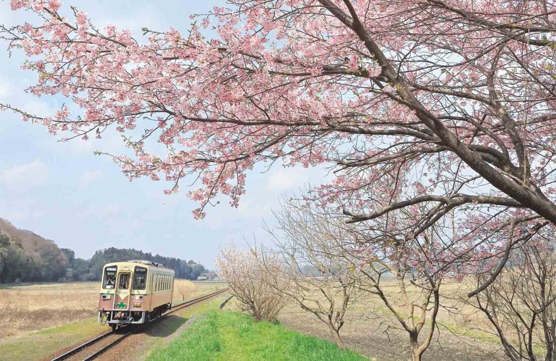 【ローカル線ひとり旅】ひたちなか海浜鉄道湊線［茨城県］～すべてをほしいままにする干し芋&おさかな王国へ