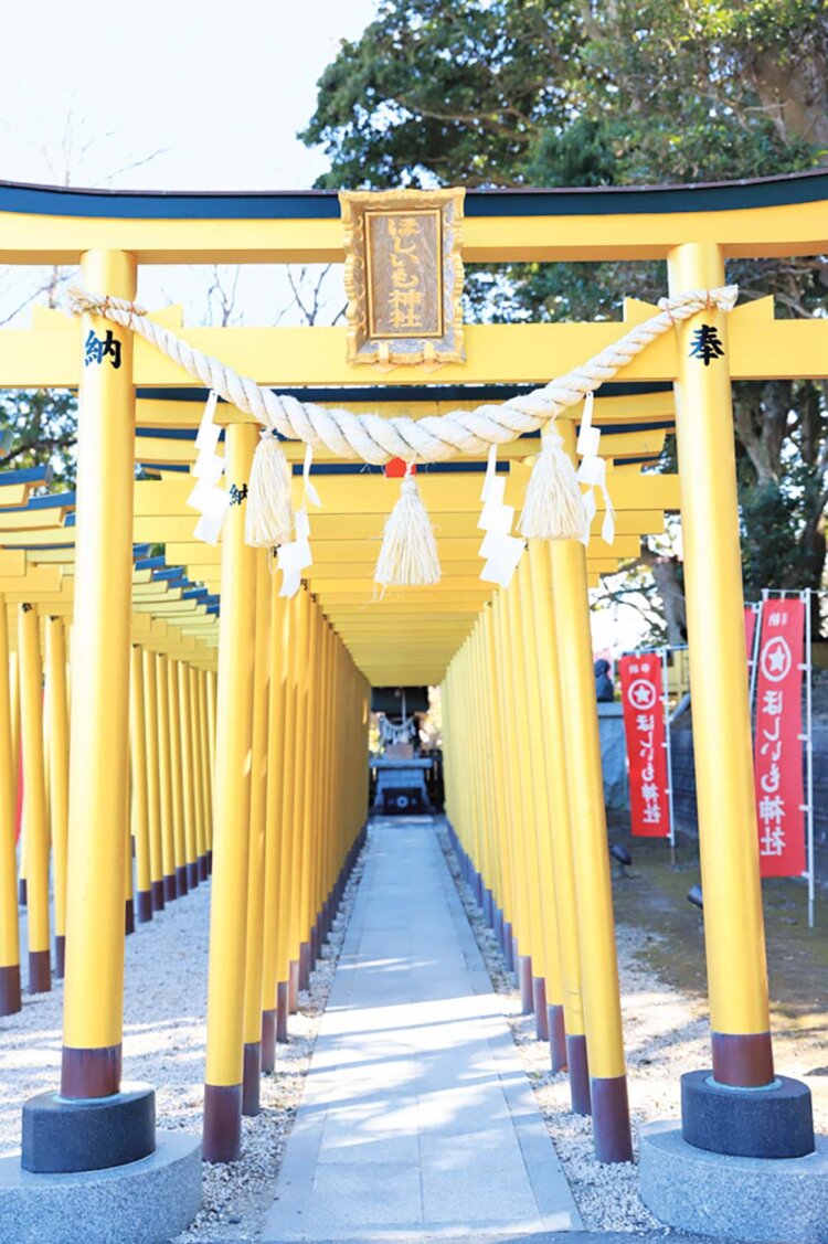 絵馬や鳥居の黄金色は、べにはるかの干し芋の色をイメージ。