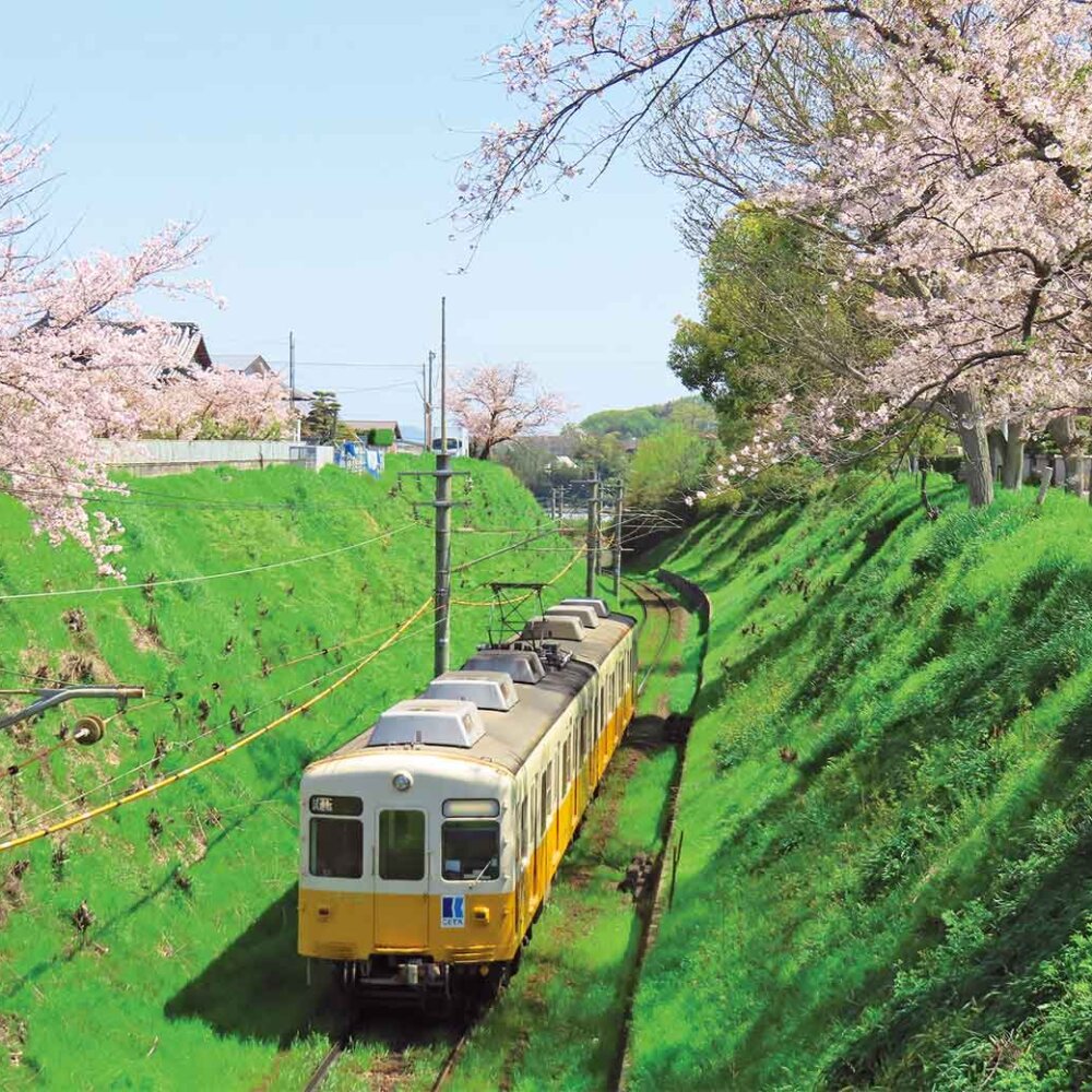 【ローカル線ひとり旅】高松琴平電気鉄道琴平線［香川県］～フリーきっぷで香川の名所とうどんにお腹もいっぱい