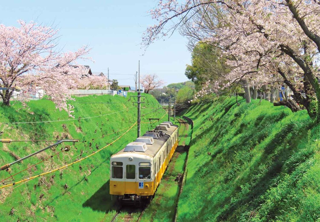 【ローカル線ひとり旅】高松琴平電気鉄道琴平線［香川県］～フリーきっぷで香川の名所とうどんにお腹もいっぱい