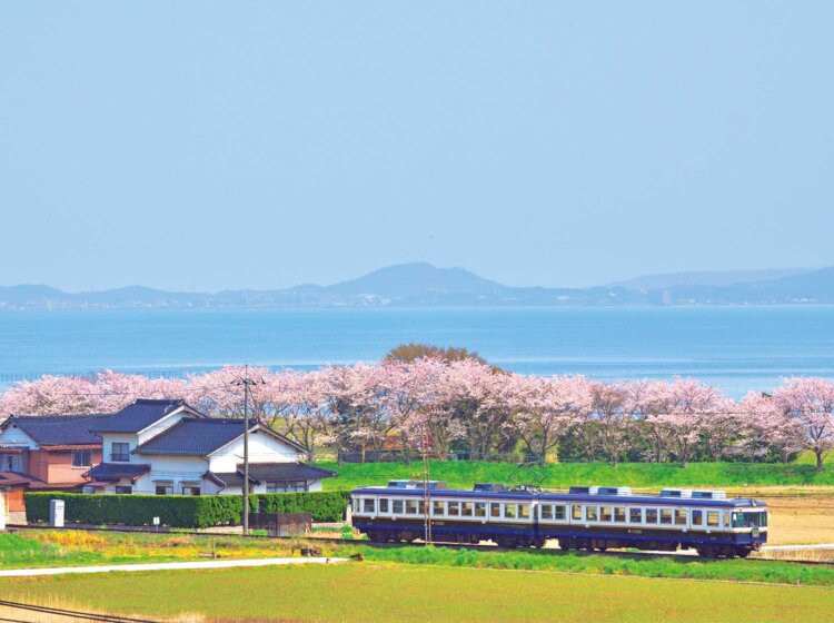 宍道湖のきらめきと桜に包まれる春の風景。湖遊館新駅〜園間（写真＝一畑電車）。