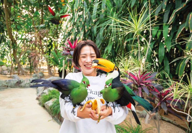 パラダイスホールでのかぶりつきバナナ体験は、平日のみ開催。1回300円、バナナがなくなり次第終了。