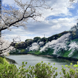 【東京街角クイズ】この写真、どこの水辺でしょう？〈全6問〉