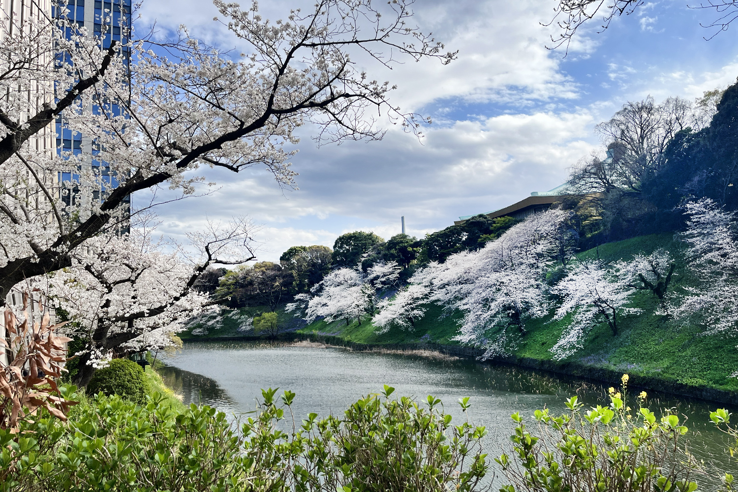 東京街角クイズ 0401