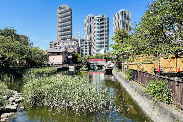 東京街角クイズ　 0301