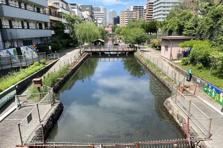 東京街角クイズ　 0501