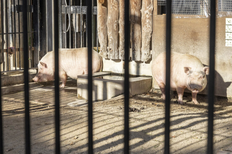ピエール瀧が行く ファンキー！公園
