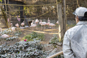 ピエール瀧が行く ファンキー!公園