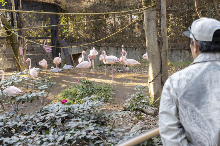 ピエール瀧が行く ファンキー！公園